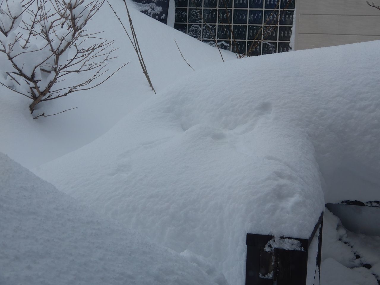今朝も居間のサブヒーターが着火せず_c0025115_20462085.jpg