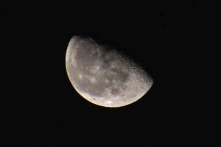 大阪市福島区のやきとり六源です！_d0199623_13482721.jpg