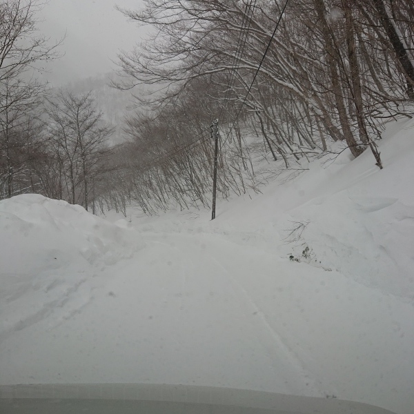 今年は積雪凄いです_c0213830_12440275.jpg