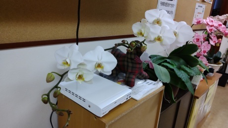 寒さの底_d0177045_20011020.jpg