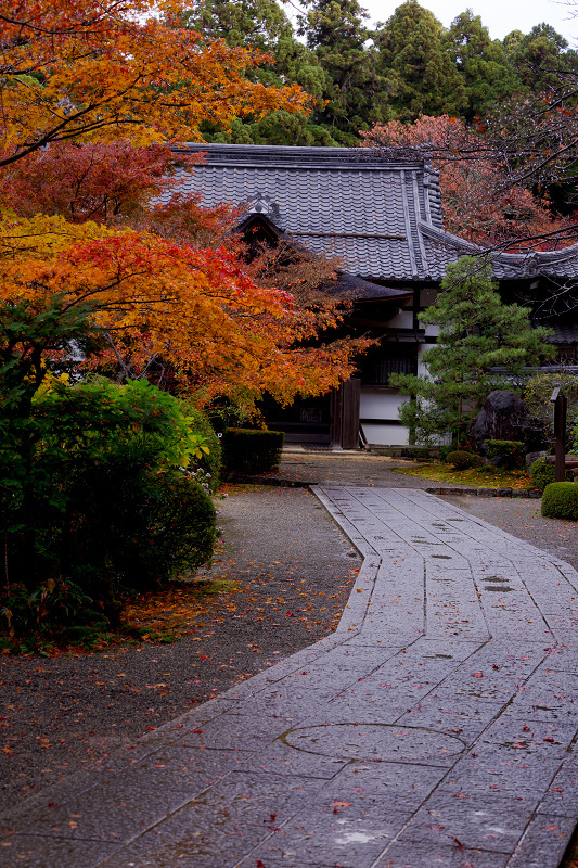 2021紅葉輝く滋賀　雨に散る（金剛輪寺・前編）_f0155048_20590606.jpg