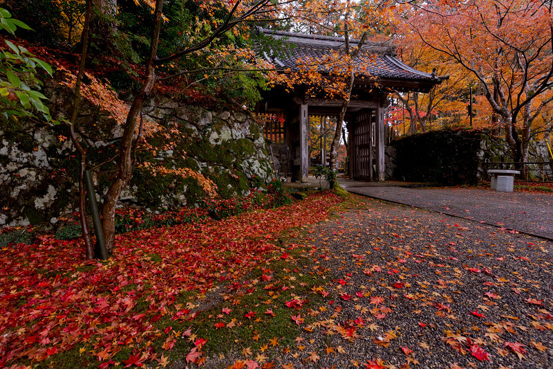 2021紅葉輝く滋賀　雨に散る（金剛輪寺・前編）_f0155048_20591790.jpg