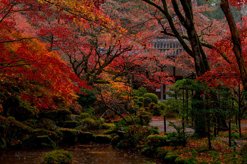 2021紅葉輝く滋賀　雨に散る（金剛輪寺・前編）_f0155048_21071545.jpg