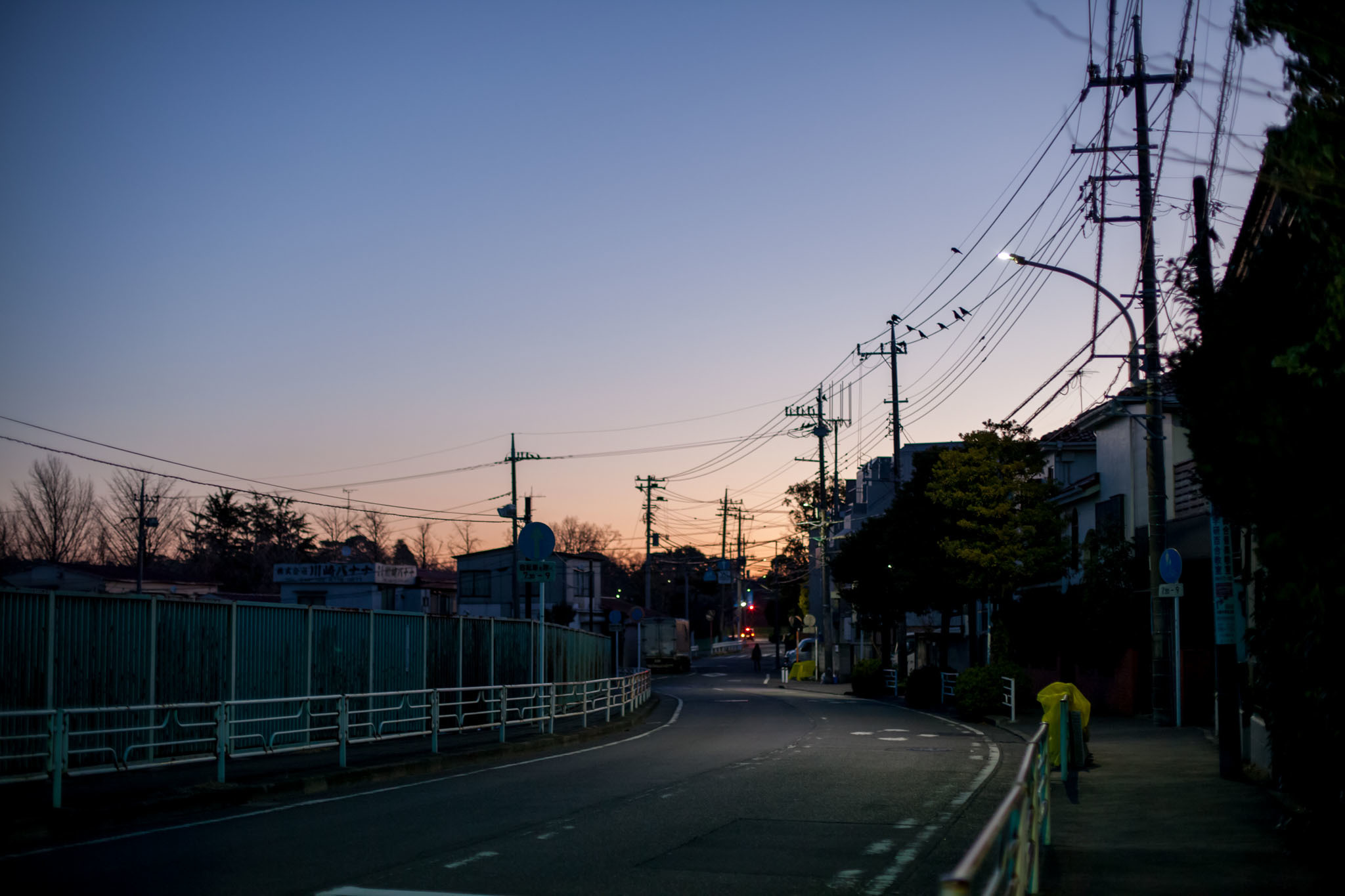 早朝散歩 写真の記憶