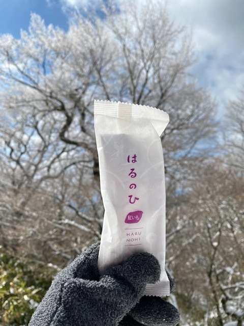 テックさんのお菓子と脊振山_f0232994_12052877.jpg