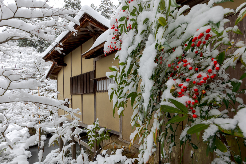 雪景・金剛輪寺_f0155048_23084221.jpg