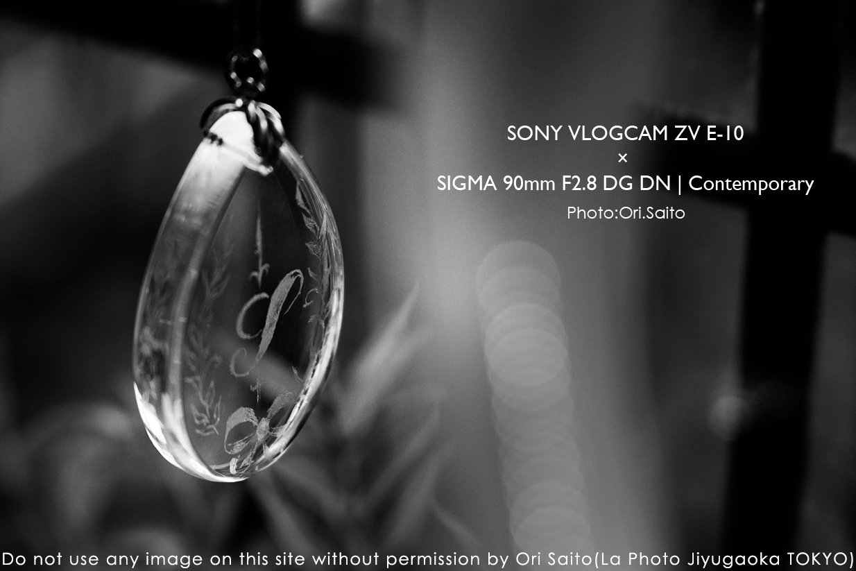 ポケットに望遠レンズ。#SIGMA 90mm F2.8 DG DN | Contemporaryの作例 #ZVE10 #カメラ女子 #Sony #モノクロ_f0212049_00382619.jpg