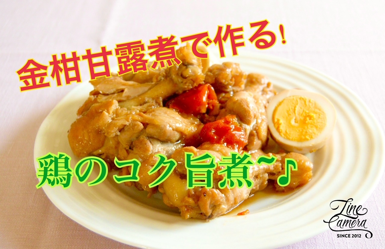 YouTube鶏のコク旨煮　プロのレシピ~♪_c0122889_20092183.jpeg