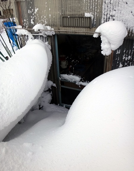 今日も雪の事など、ミャンハウスの戸が開かなくなったよ～ん(^^ゞ_a0136293_14471606.jpg