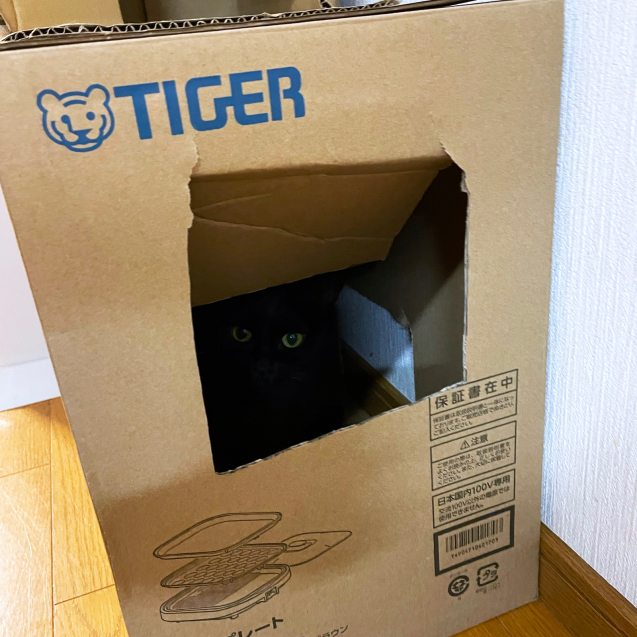 ホットプレート最高!!!_d0355333_22482923.jpg