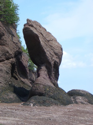 ホープウェル・ロックス_c0353373_22121623.jpg