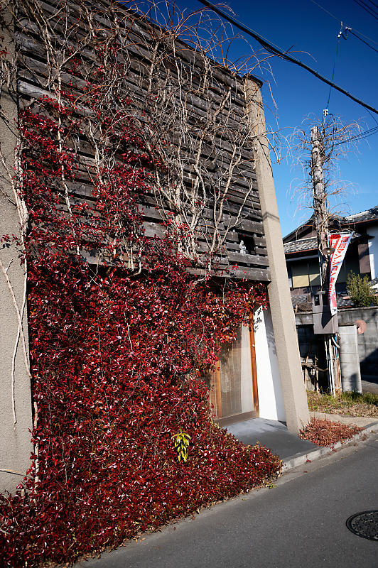 単焦点で町角寸景@橋本遊郭跡 其の一_f0032011_15524083.jpg