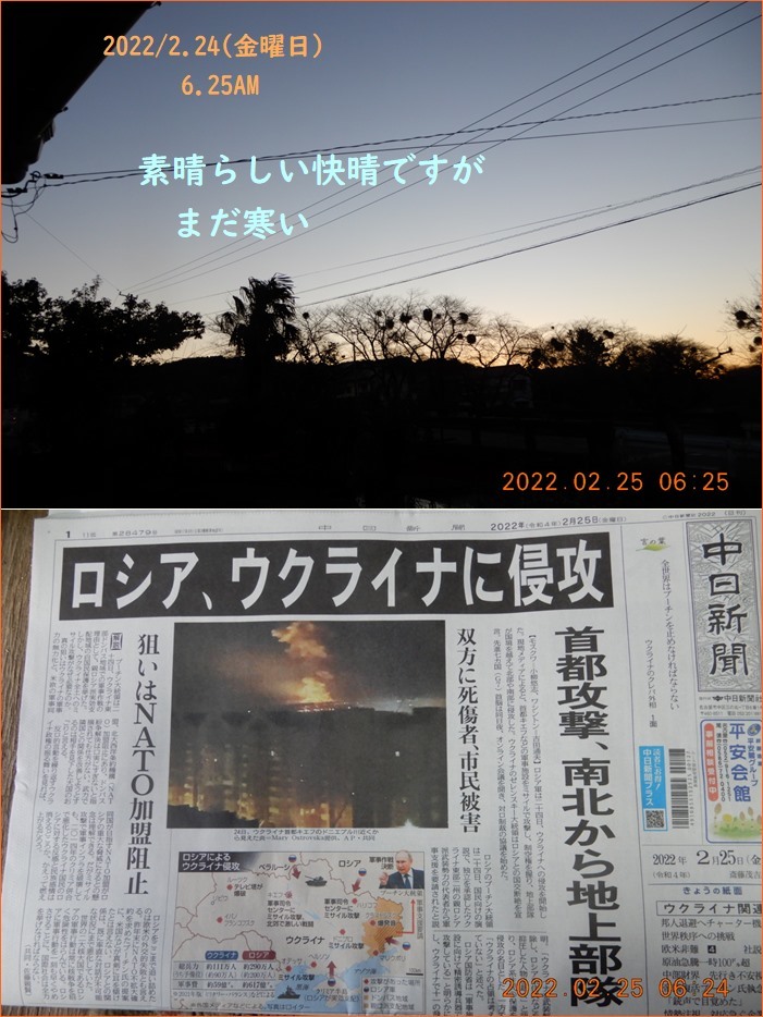 じゃがいもの畝作り ととのうためのサウナの入り方 小次郎じじ物語