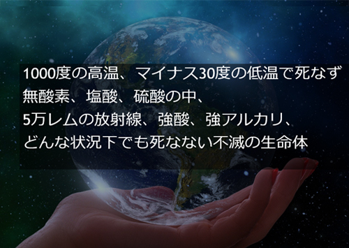キララの石にソマチッドいるかな?太古のカルシウムvsドナン どっちが生きがいいソマチッド?_d0169072_18371655.jpg