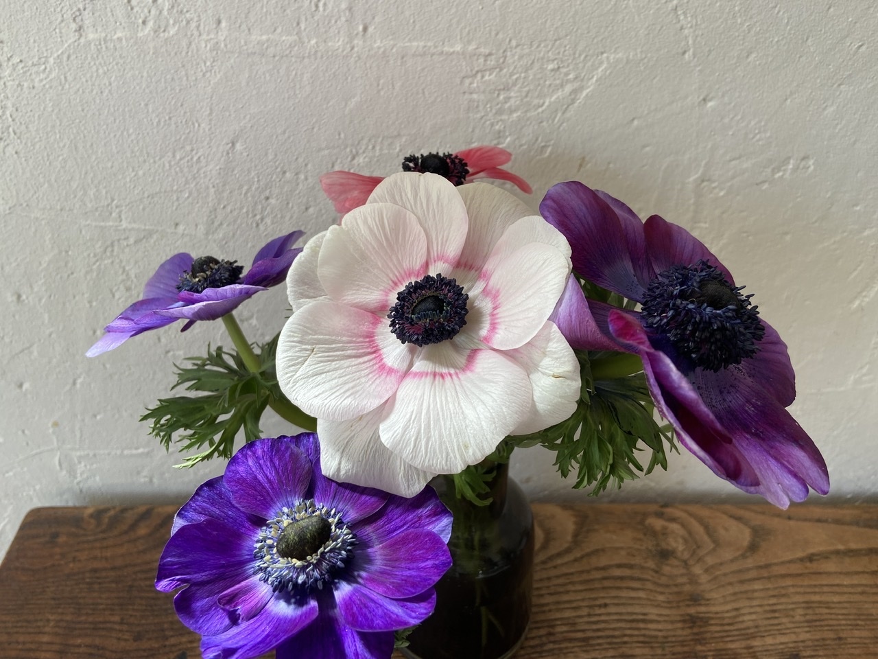 お花の綺麗な季節_b0018004_11585414.jpeg