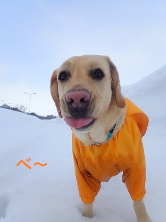 雪雲レーダー大活躍。_c0182012_16153082.jpg