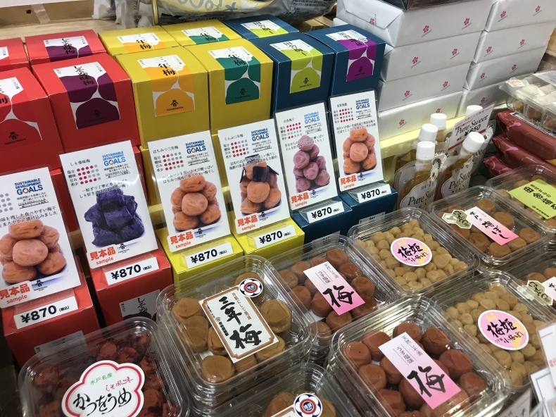 大洗まいわい市場　梅の季節ですね_a0283448_16052648.jpeg