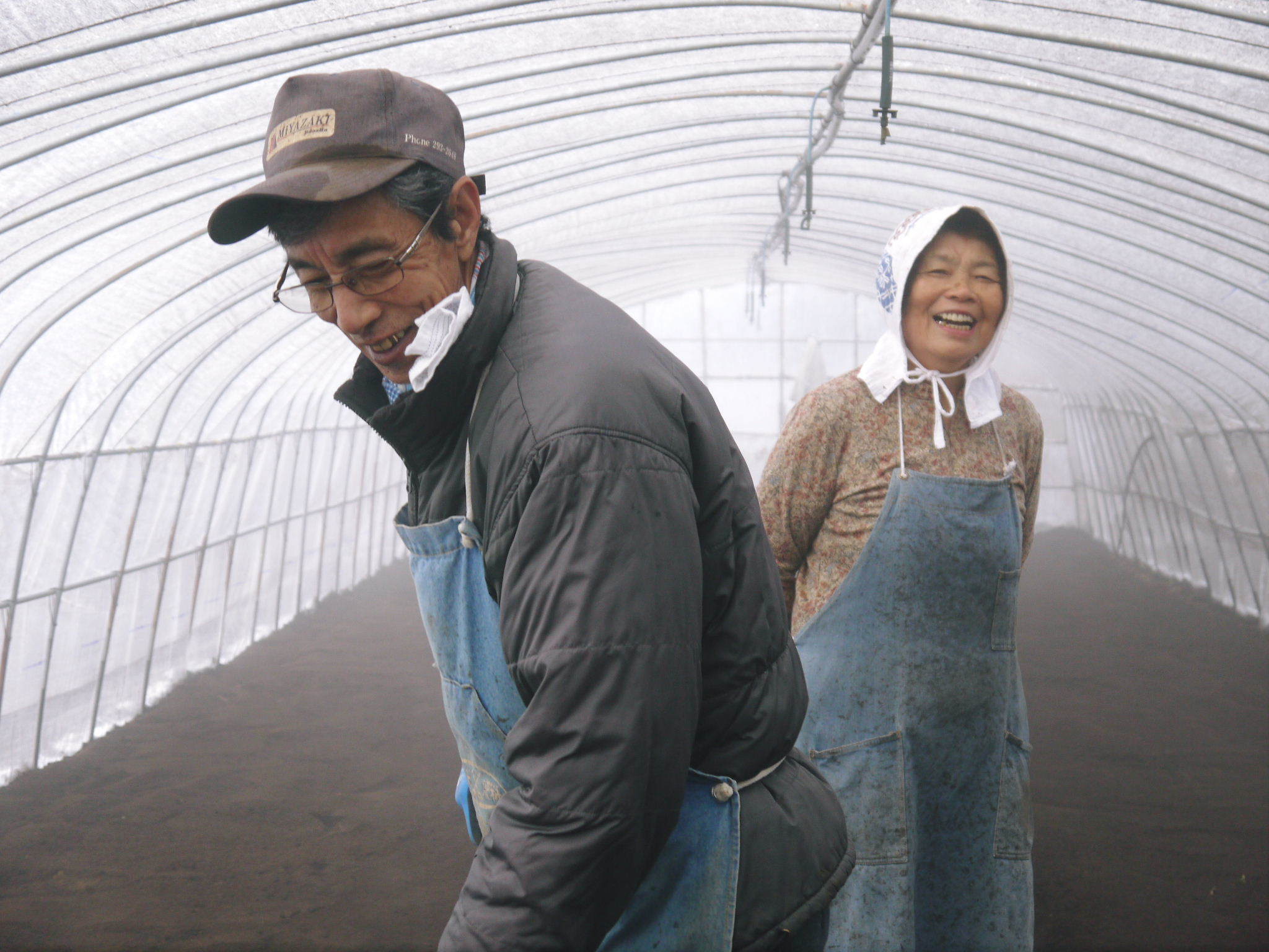 熊本産大津甘藷(サツマイモ)大好評販売中! 令和4年の栽培スタート!種まきの様子を現地取材(後編) _a0254656_17553299.jpg