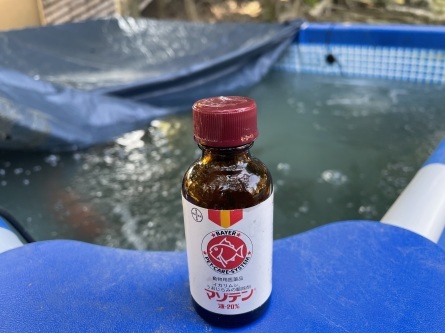 2/27 店長日記_e0173381_18264545.jpg
