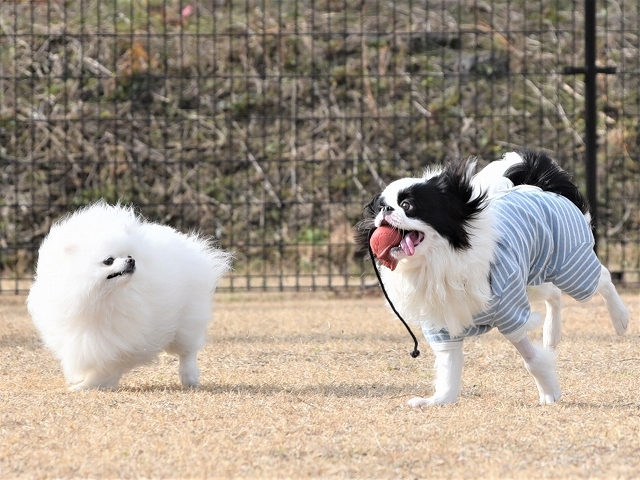 備品諸々_d0360206_20031786.jpg