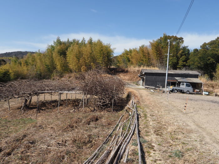 安芸津町の風景_c0116915_22560301.jpg