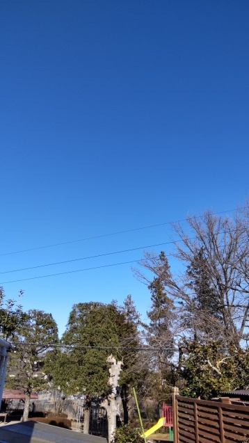 春の猫_c0155326_15015194.jpg