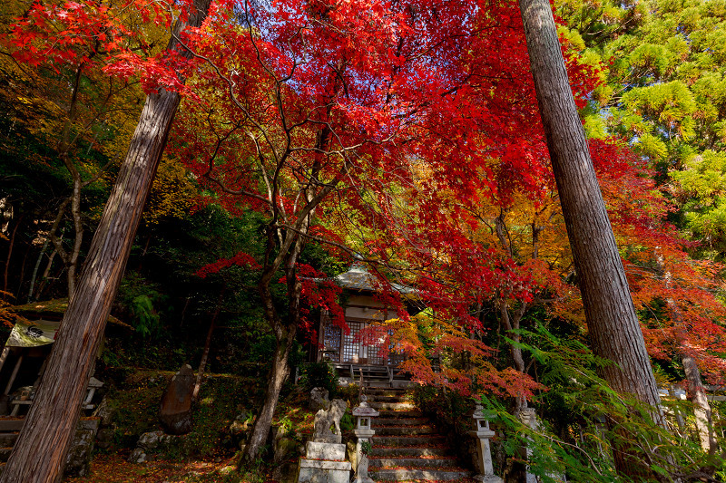 2021紅葉輝く京都　紅に染まる護法堂弁財天_f0155048_22413176.jpg