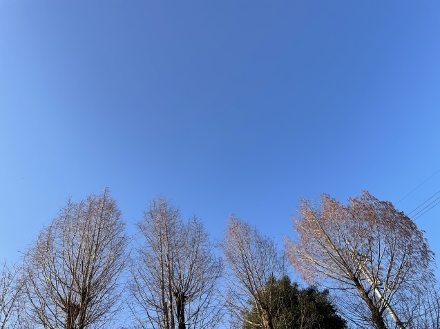 沈む心。_a0394574_21210648.jpeg