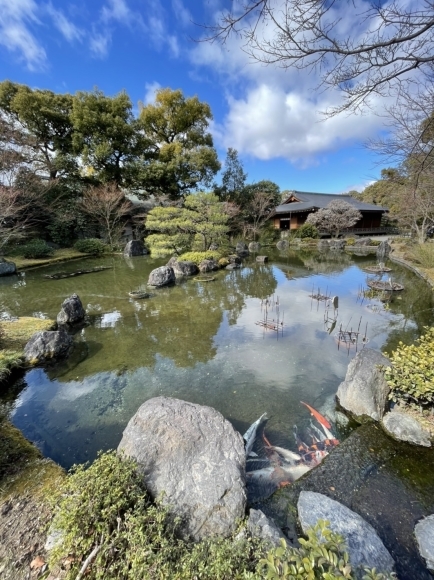 京都の「城南宮」3月中旬までしだれ梅が見ごろだそうです♡_f0399901_09260236.jpg