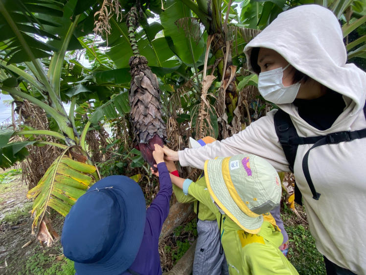 青空ようちえん〔週末〕沖縄そばづくりwith麺家にらい(2/19)人気沖縄そば屋さんの並里店長直伝!こねて、伸ばして、切って、親子で沖縄そば作りに挑戦!_d0363878_20521806.jpg