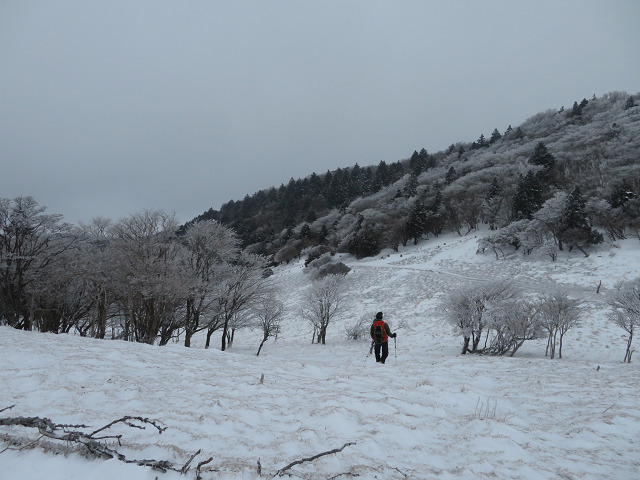 三峰山でスノーシュー 【三重県】2/23_d0387443_09074380.jpg