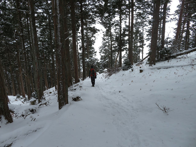 三峰山でスノーシュー 【三重県】2/23_d0387443_09074821.jpg