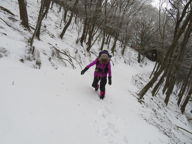 三峰山でスノーシュー 【三重県】2/23_d0387443_09075314.jpg