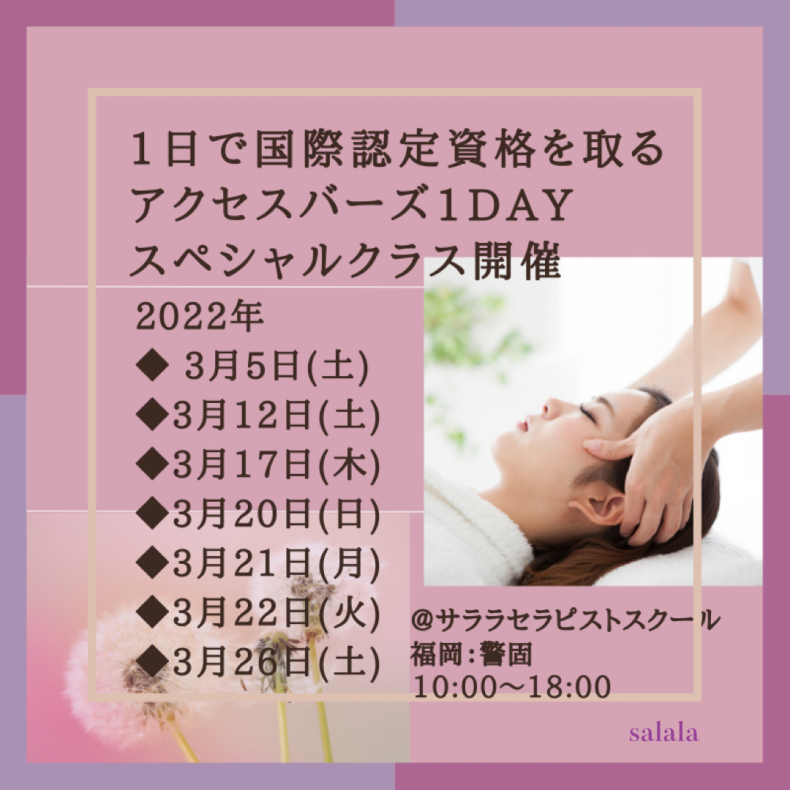 サララ1日で国際認定資格を取るアクセスバーズクラスが人気_f0140145_13340771.jpg
