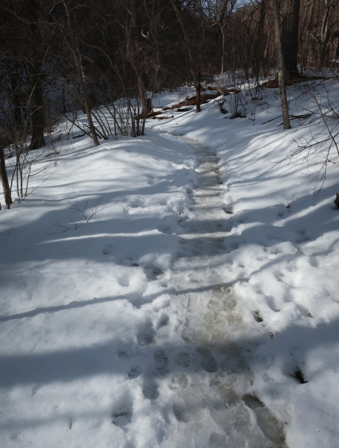 千ヶ滝の氷瀑 * 雪解けすすむ3月のお山♪_f0236260_16382371.jpg