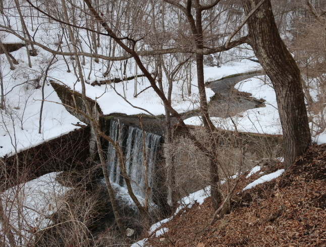 千ヶ滝の氷瀑 * 雪解けすすむ3月のお山♪_f0236260_16465678.jpg