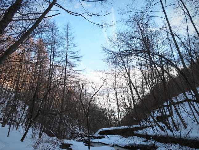 千ヶ滝の氷瀑 * 雪解けすすむ3月のお山♪_f0236260_17025602.jpg