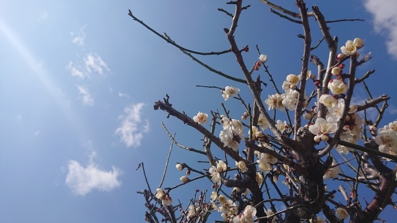 22～33の景色へ***_e0290872_22222040.jpg