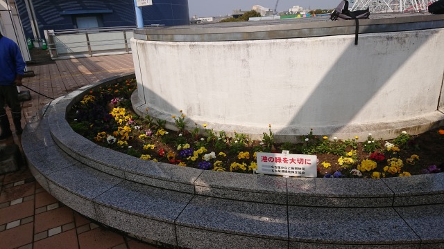 名古屋港水族館前花壇の植栽R4.3.2_d0338682_14325927.jpg