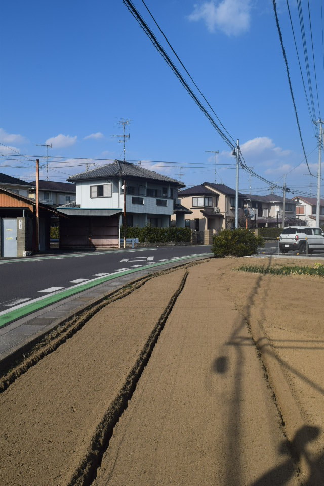 埼玉県羽生市立手子林小学校(建築家・関根要太郎作品研究)_f0142606_22163144.jpg