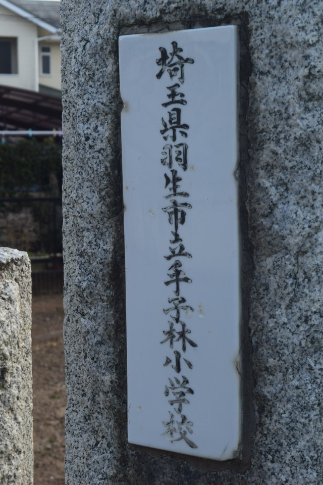 埼玉県羽生市立手子林小学校(建築家・関根要太郎作品研究)_f0142606_22180408.jpg