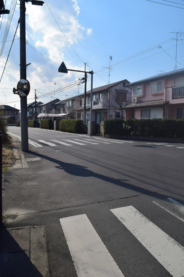 埼玉県羽生市立手子林小学校(建築家・関根要太郎作品研究)_f0142606_22182862.jpg