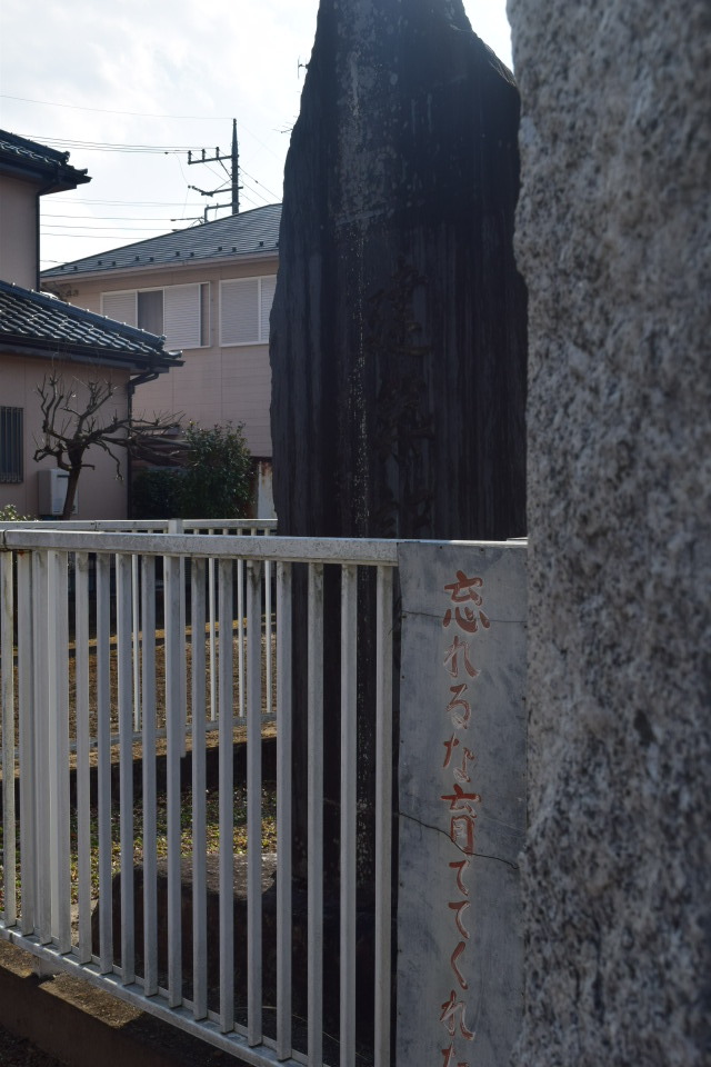 埼玉県羽生市立手子林小学校(建築家・関根要太郎作品研究)_f0142606_22224860.jpg