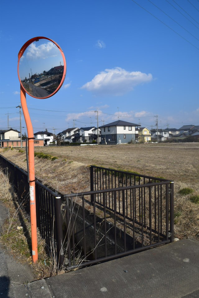 埼玉県羽生市立手子林小学校(建築家・関根要太郎作品研究)_f0142606_22322737.jpg