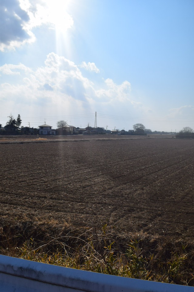 埼玉県羽生市立手子林小学校(建築家・関根要太郎作品研究)_f0142606_22335108.jpg