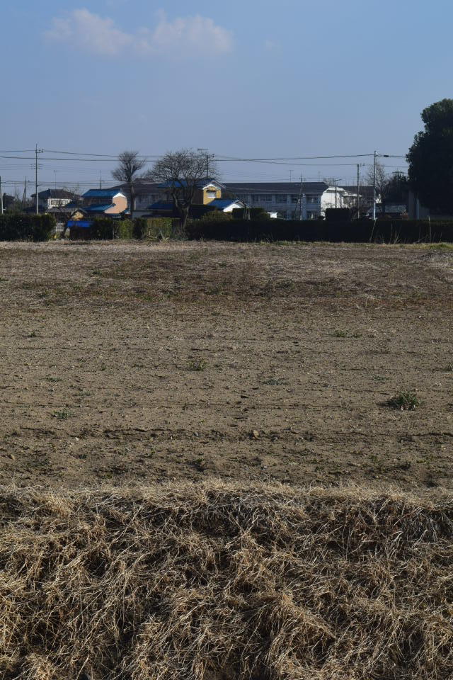 埼玉県羽生市立手子林小学校(建築家・関根要太郎作品研究)_f0142606_22354470.jpg