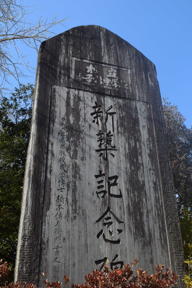 埼玉県羽生市立手子林小学校(建築家・関根要太郎作品研究)_f0142606_22491747.jpg