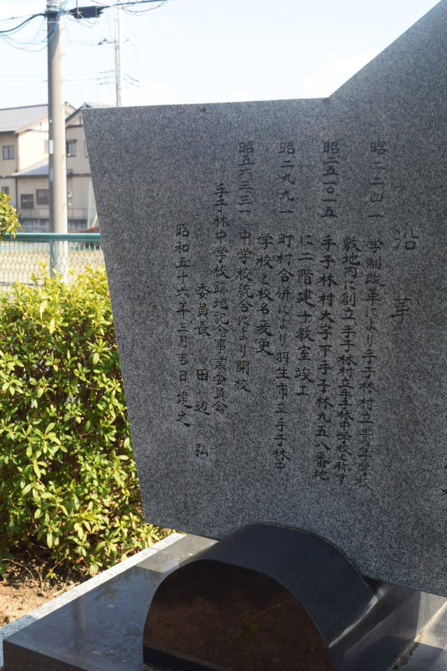 埼玉県羽生市立手子林小学校(建築家・関根要太郎作品研究)_f0142606_22502890.jpg
