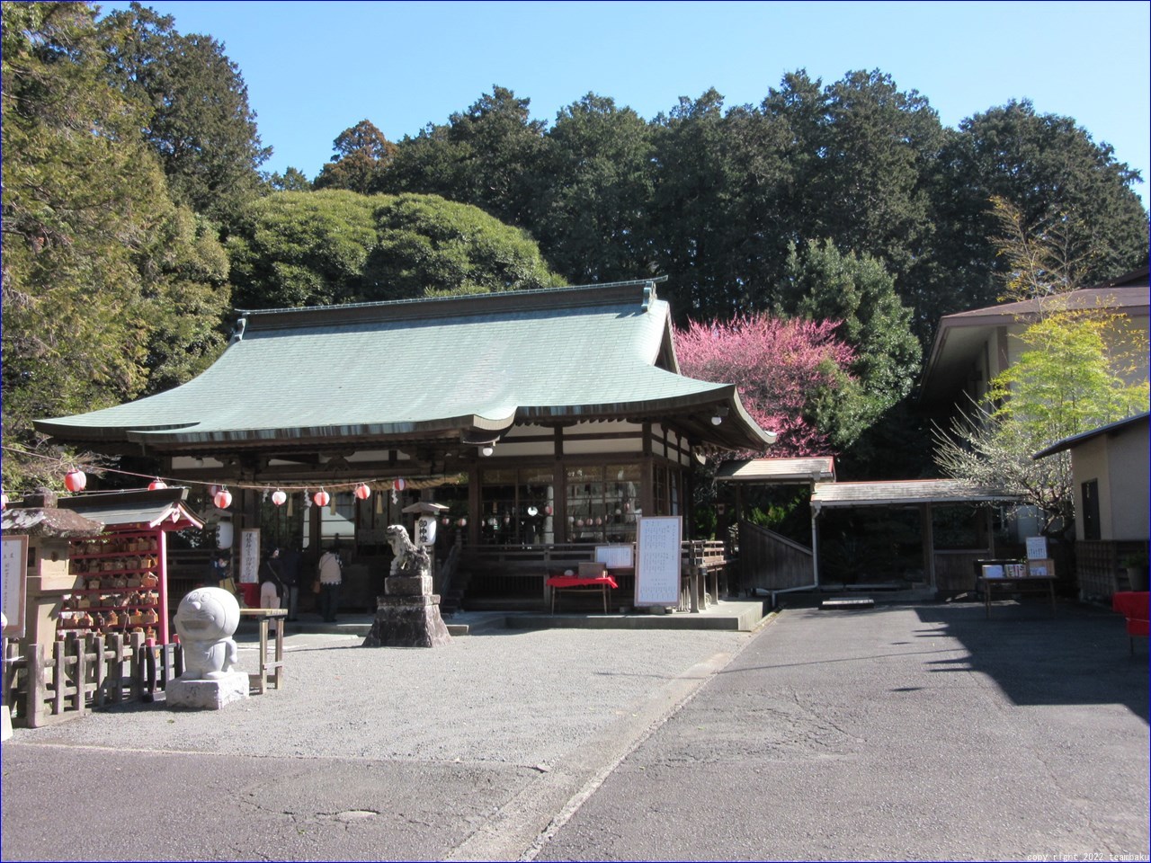 桃の節句に府八幡宮と龍尾神社 花庭園_c0376508_18531893.jpg