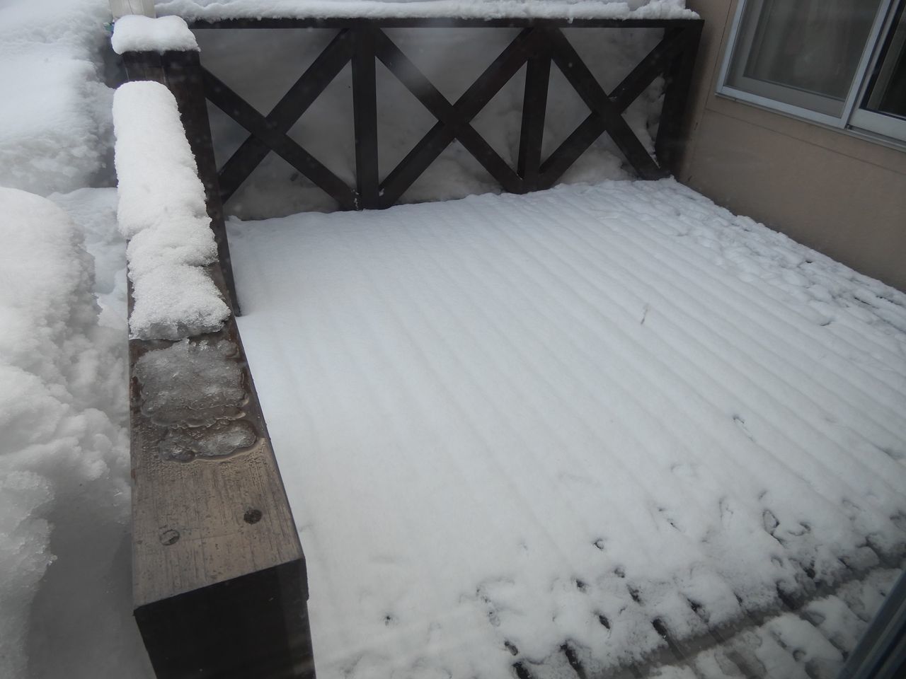 ひな祭りの昼に湿った降雪_c0025115_21390367.jpg